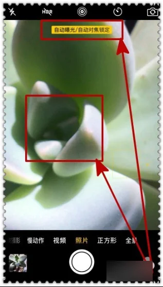 微距拍摄的技巧 微距拍摄的技巧介绍(手机微距拍摄技巧有哪些)-第4张图片-技术汇