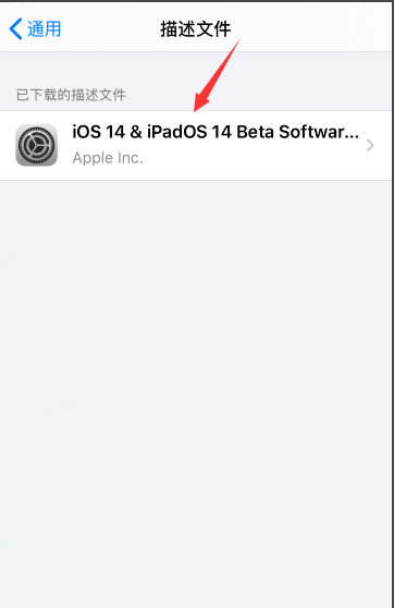 苹果ios14正式版(苹果iOS14正式版(全新功能与改进亮点))-第6张图片-技术汇
