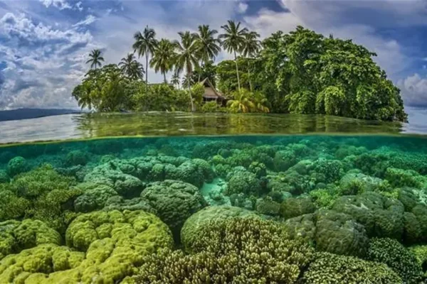 所罗门群岛在哪里(所罗门群岛地理位置 所罗门群岛为什么叫所罗门群岛)-第2张图片-技术汇