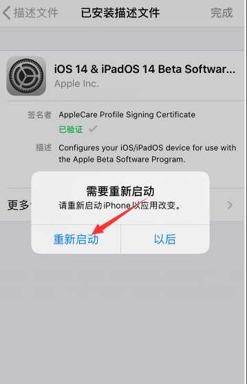 苹果ios14正式版(苹果iOS14正式版(全新功能与改进亮点))-第10张图片-技术汇