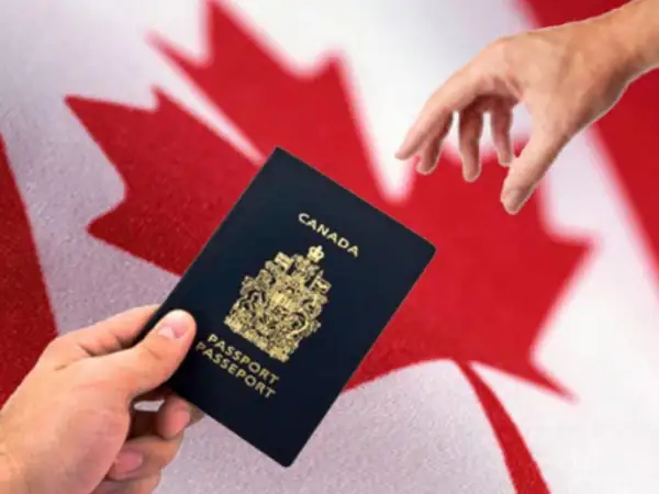 枫叶卡如何入籍加拿大(加拿大的枫叶卡作用是什么?)-第3张图片-技术汇